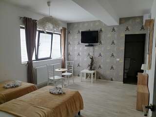 Отель Hotel Queen Бухарест Двухместный номер с 2 отдельными кроватями-2